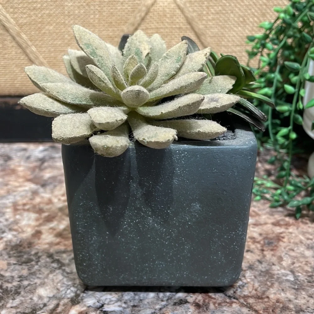 Faux succulents